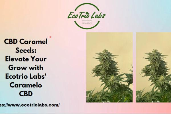 CBD Caramel Seeds