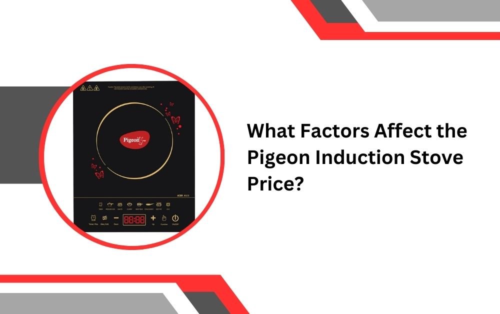 Pigeon Induction Stove Price