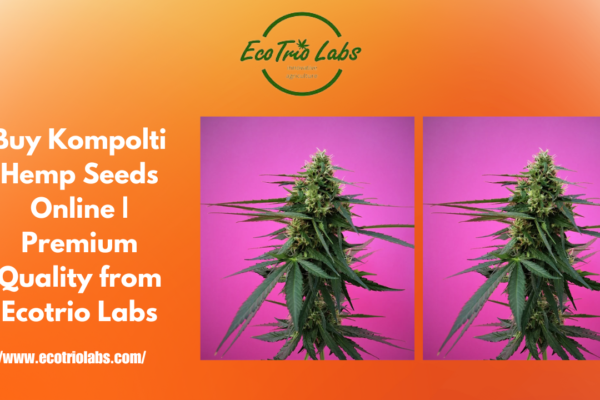 Kompolti Hemp Seeds