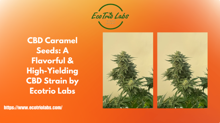 CBD Caramel Seeds