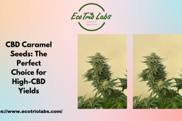 CBD Caramel Seeds