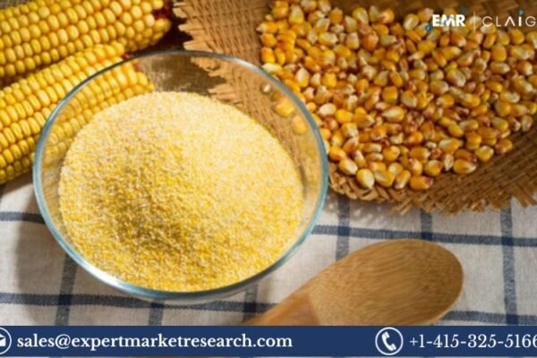 Corn Bran Market