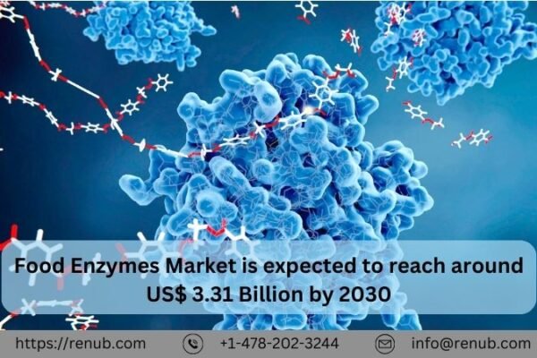 Food Enzymes Market Size and Growth Forecast Report 2024-2032