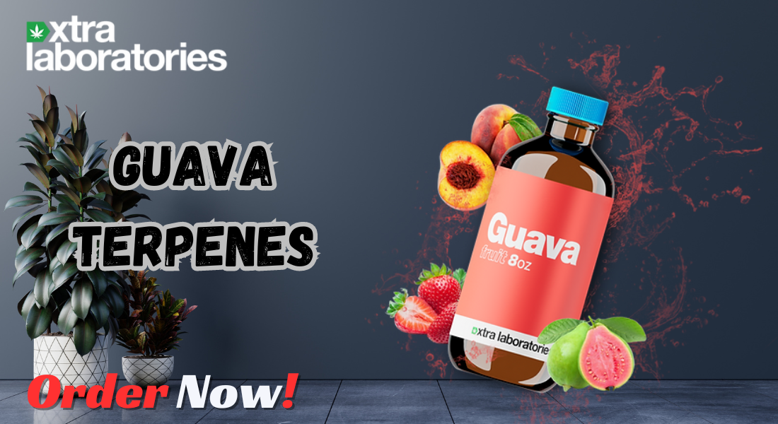 Guava Terpenes