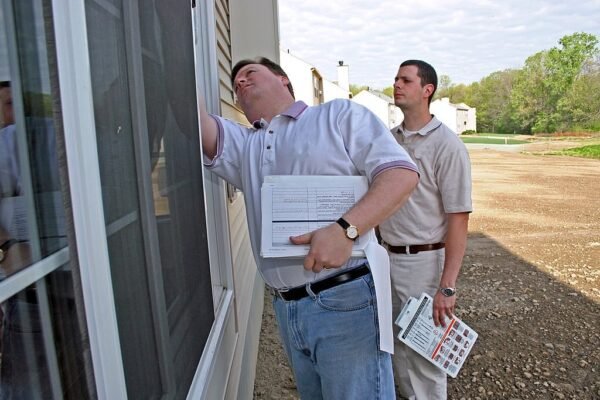 Termite Inspection