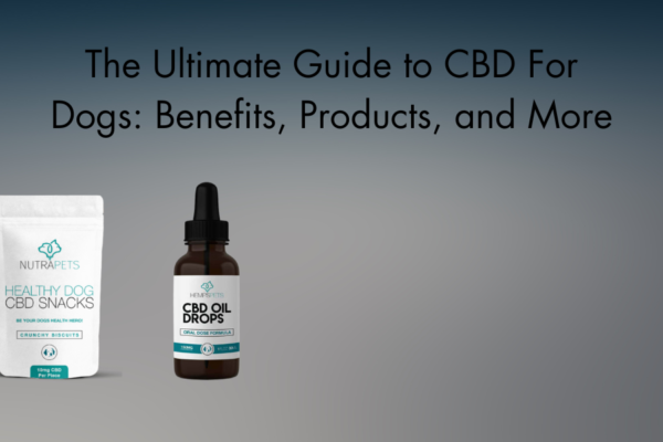 CBD for dogs
