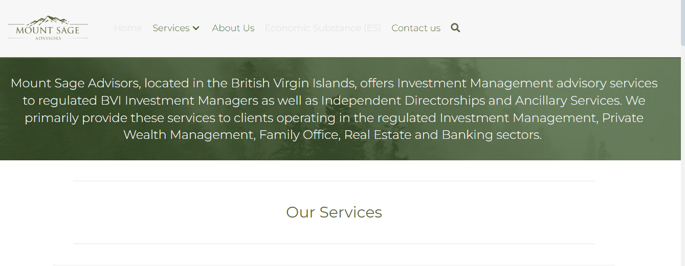 BVI Directorship Services